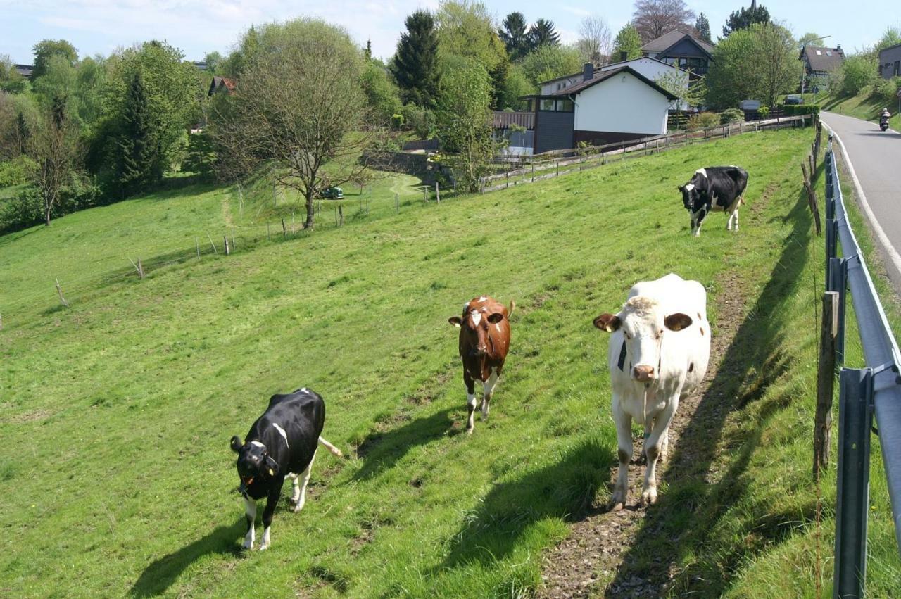Pension Oberberg Lindlar Zewnętrze zdjęcie